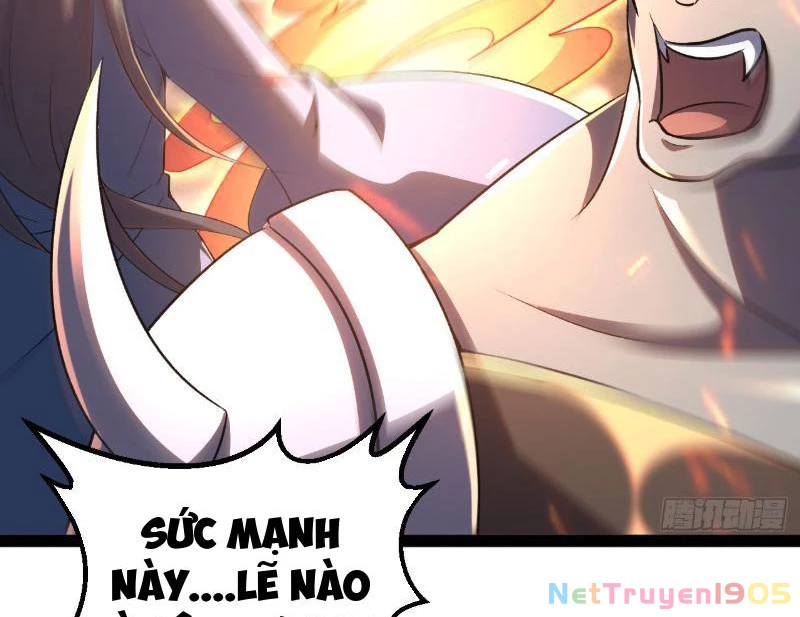 Diệt Yêu Trảm Thần Bắt Đầu Từ Hoang Đảo Chapter 6 - 3