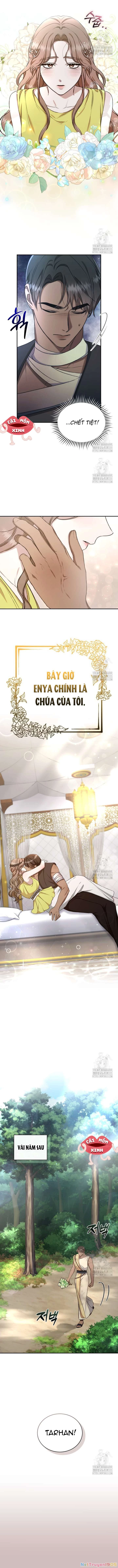 Khu Rừng Hoang Dã Chapter 27 - 11