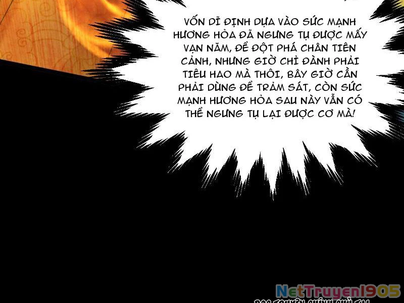 Gặp Mạnh Thì Mạnh, Ta Tu Vi Vô Thượng Hạn Chapter 59 - 15