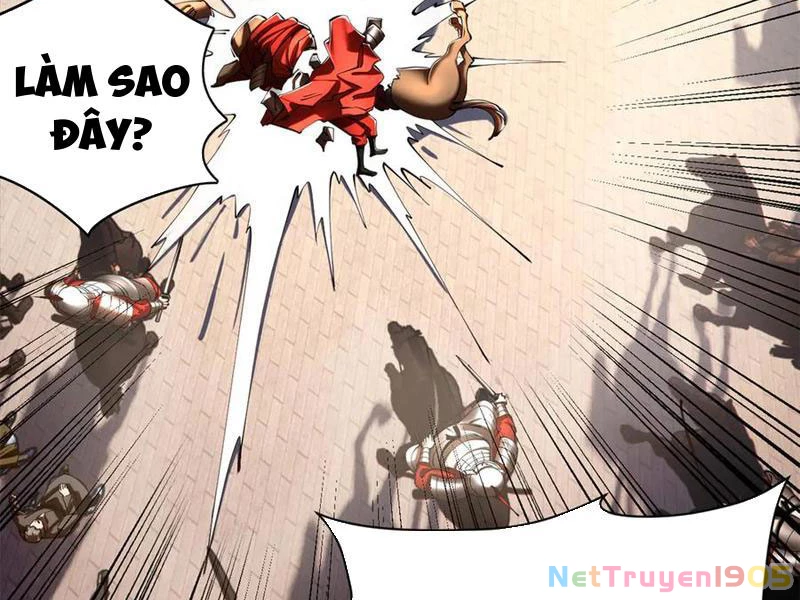 Chàng Rể Mạnh Nhất Lịch Sử Chapter 311 - 8