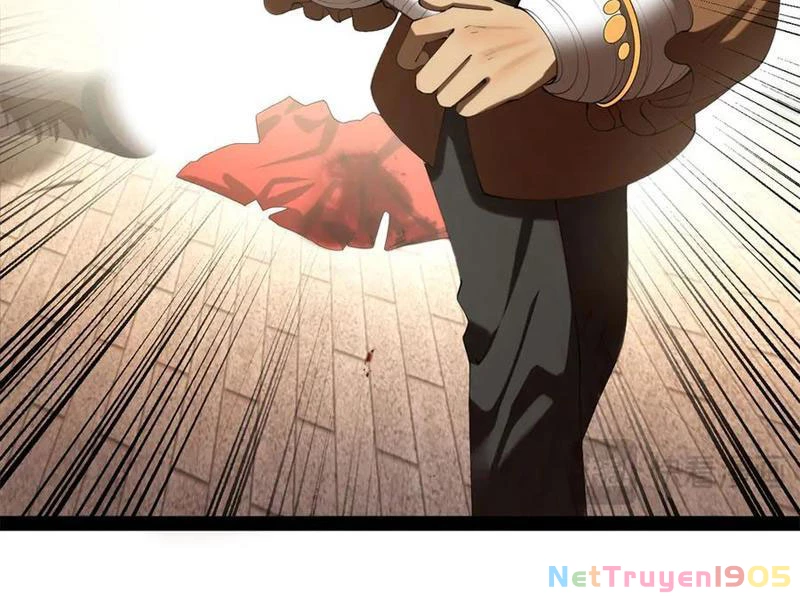 Chàng Rể Mạnh Nhất Lịch Sử Chapter 311 - 13