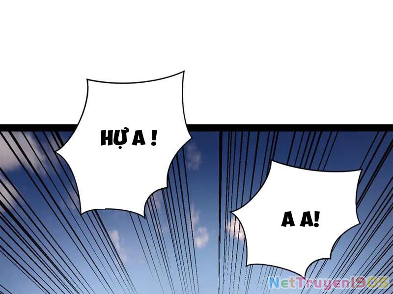 Chàng Rể Mạnh Nhất Lịch Sử Chapter 311 - 14