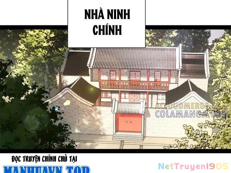 Chàng Rể Mạnh Nhất Lịch Sử Chapter 311 - 31