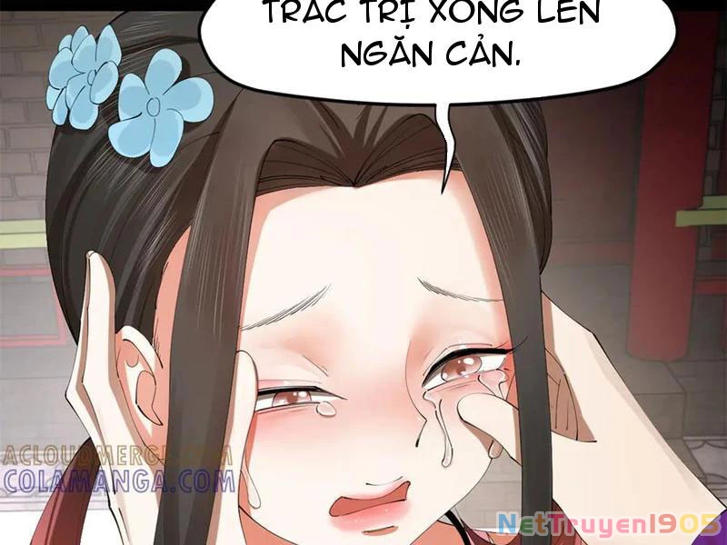 Chàng Rể Mạnh Nhất Lịch Sử Chapter 311 - 60