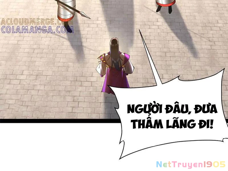 Chàng Rể Mạnh Nhất Lịch Sử Chapter 311 - 81
