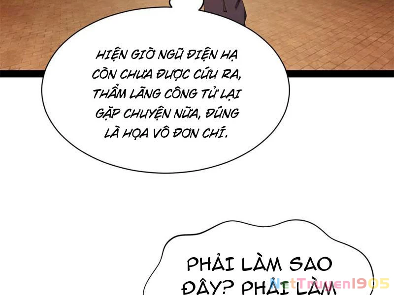 Chàng Rể Mạnh Nhất Lịch Sử Chapter 311 - 110