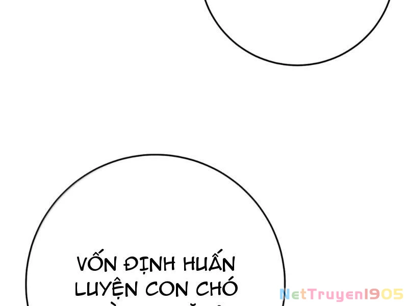 Phá thân của nữ Hoàng Đế Chapter 50 - 85