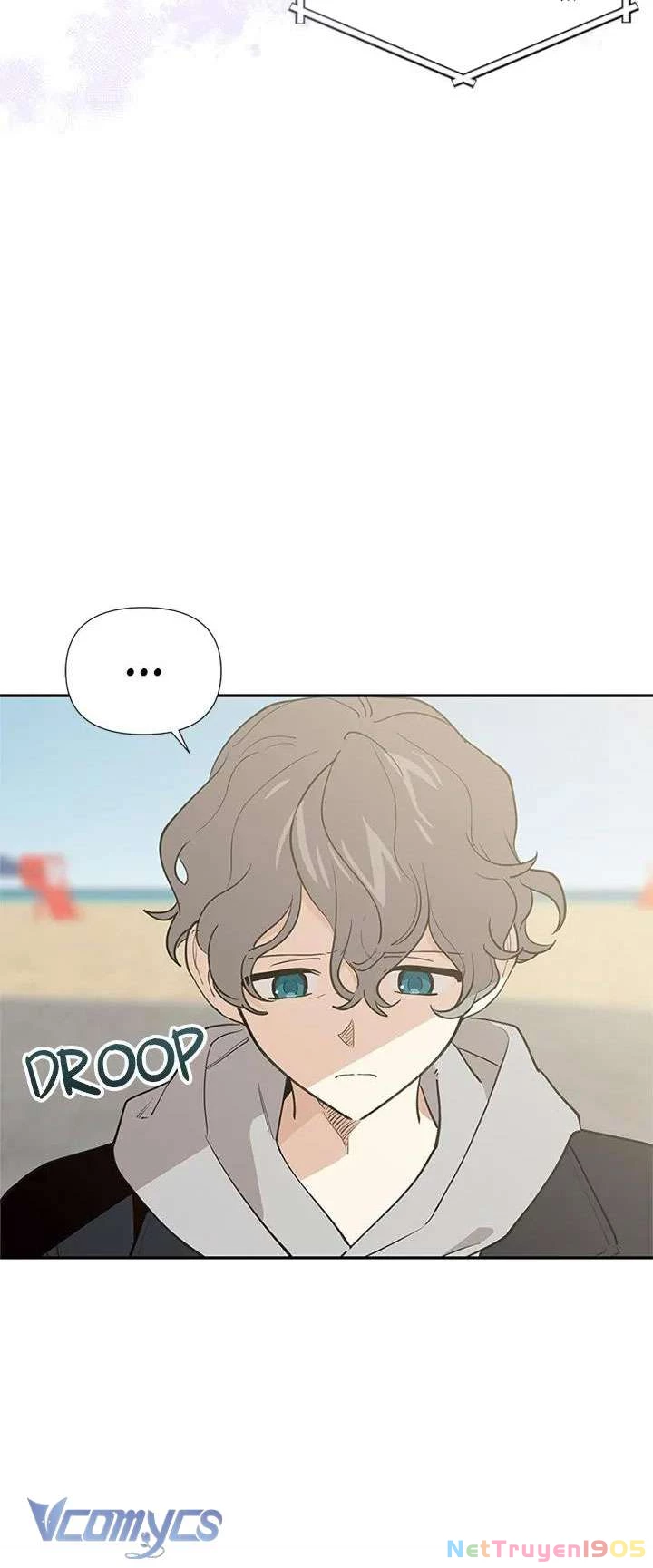 Điều Ước Sao Băng Chapter 61 - 16