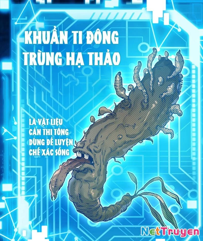Bắt Đầu Tu Chân Từ Việc Trồng Ra Nữ Đế Yêu Tộc Chapter 5 - 16