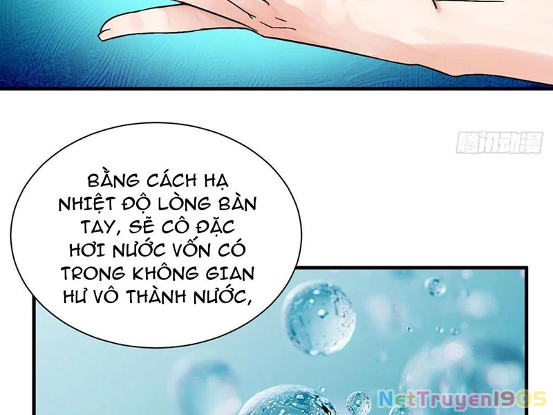 Chuyển Sinh Thành Tra Nam, Ta Giúp Thê Tử Trường Sinh Chapter 20 - 28