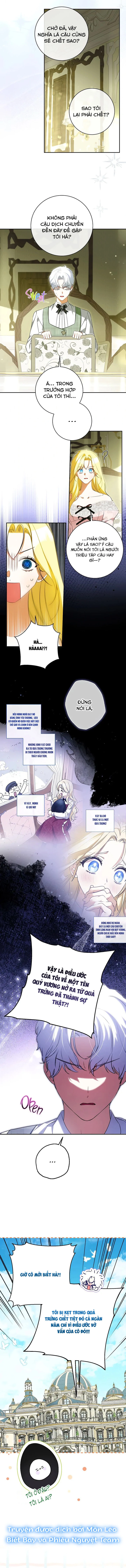 Hình Như Tôi Đã Xuyên Vào Cuốn Tiểu Thuyết Nào Đó Chapter 64 - 3