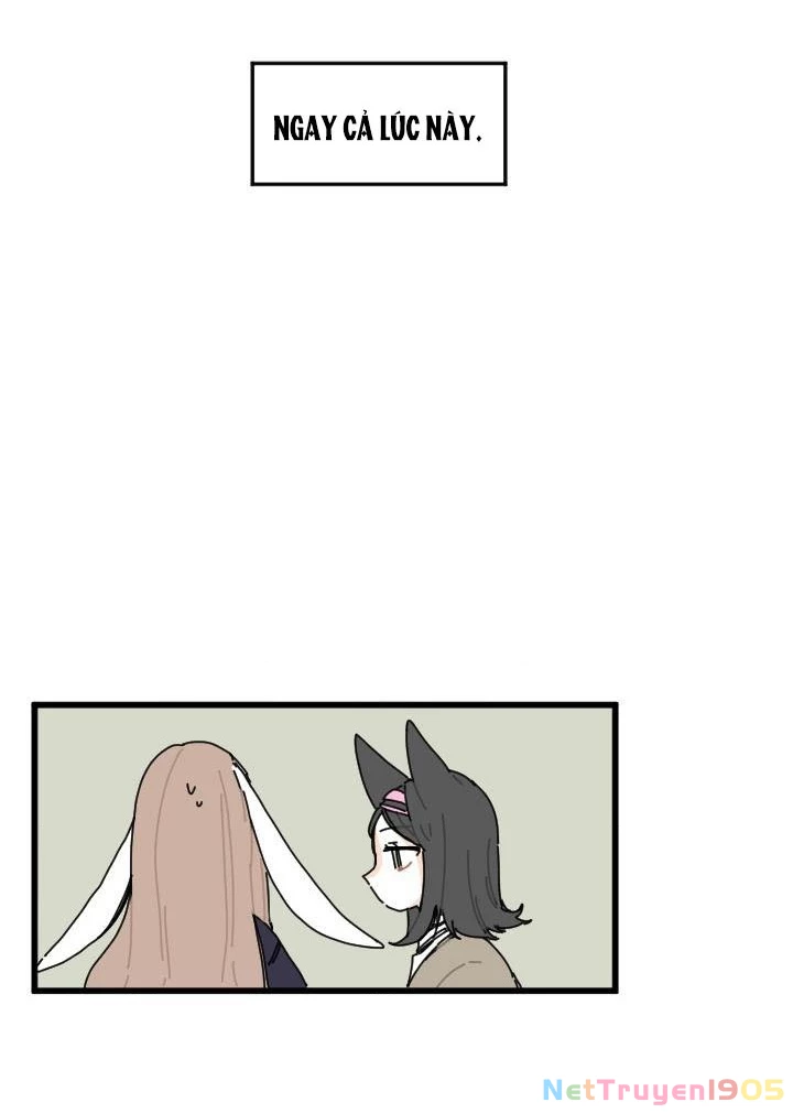 Gót Chân Dẫm Lên Cỏ Ba Lá Chapter 13 - 15