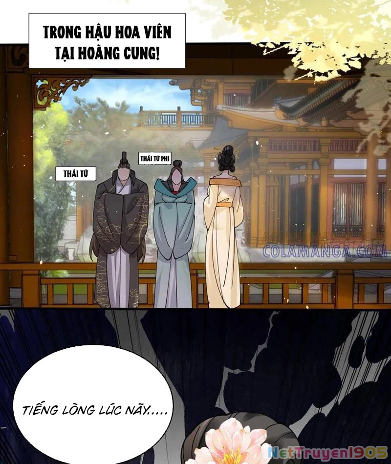 Công Tử Biệt Tú! Chapter 214 - 44