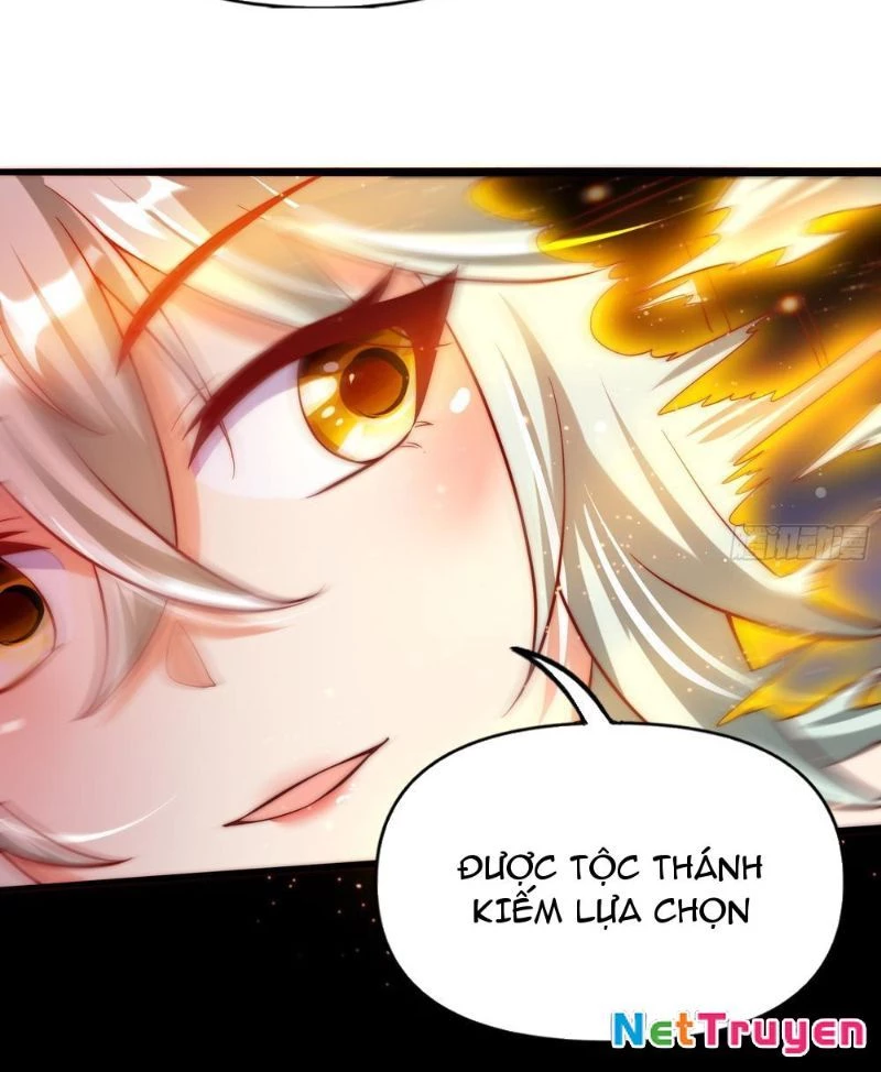 Tinh Thú Sư Mạnh Nhất Chapter 17 - 16