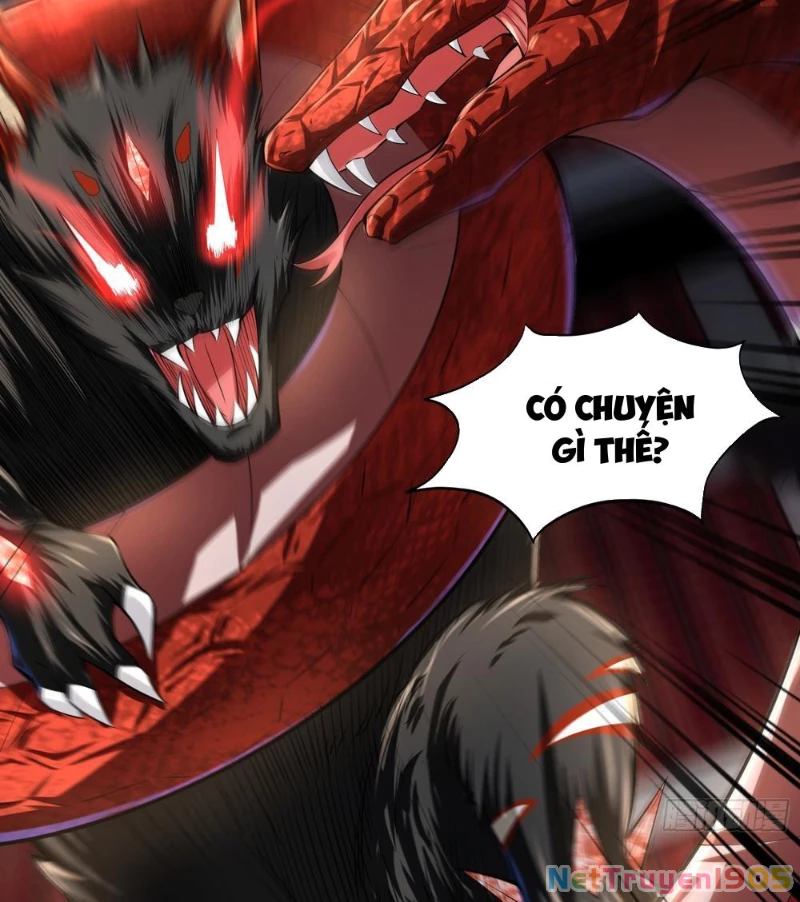 Tinh Thú Sư Mạnh Nhất Chapter 17 - 50