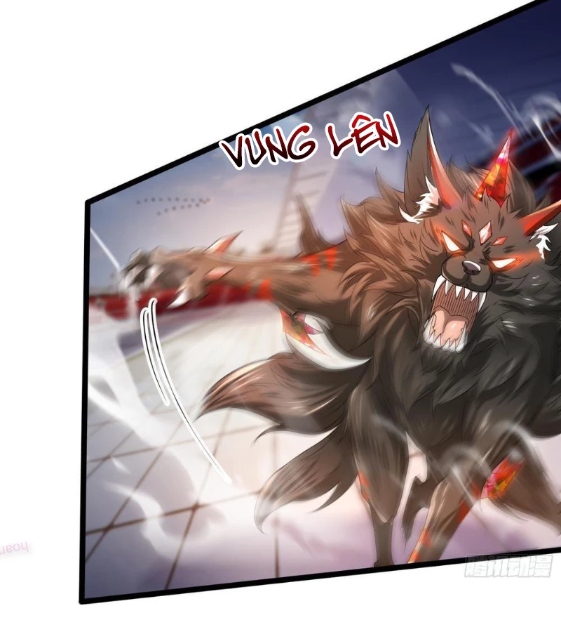 Tinh Thú Sư Mạnh Nhất Chapter 17 - 63