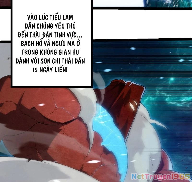 Chuyển Sinh Thành Liễu Đột Biến Chapter 396 - 58