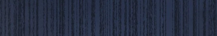 Tôi Sẽ Vực Dậy Gia Tộc Này Chapter 35 - 232
