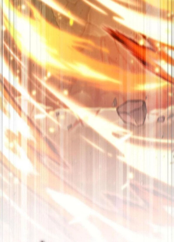 Mạo Hiểm Giả Cuối Cùng Chapter 78 - 11