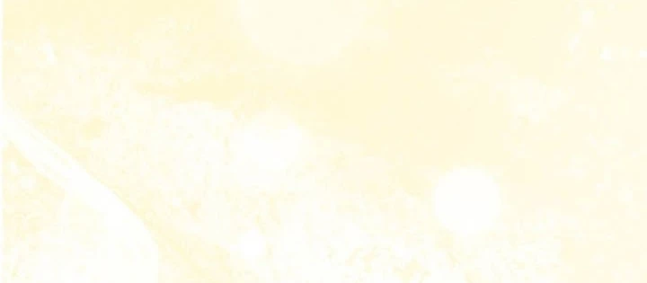 Thiên Tài Phép Thuật Nắm Bắt Khái Niệm Chapter 24 - 234