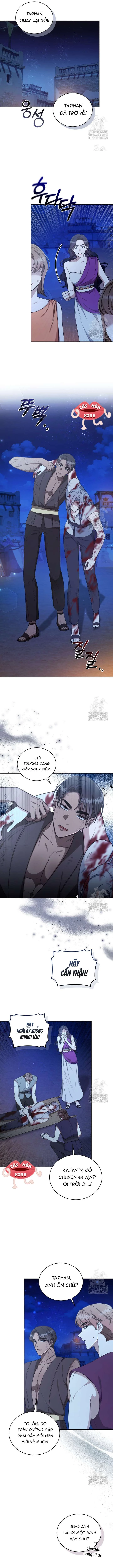 Khu Rừng Hoang Dã Chapter 28 - 11