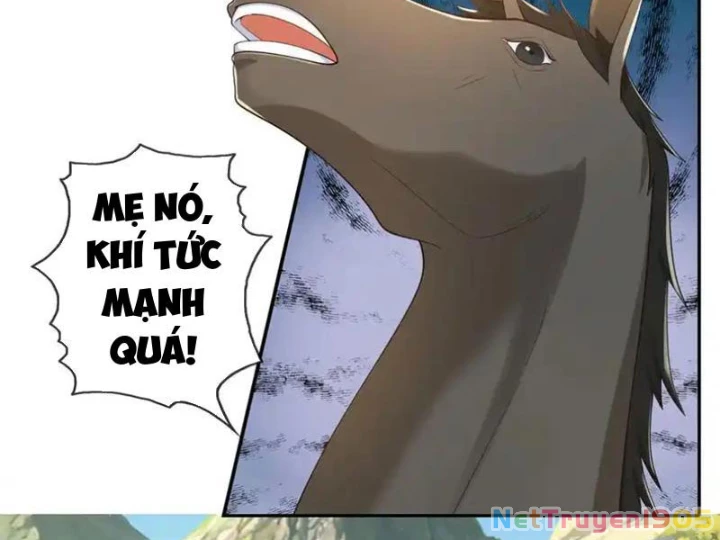 Ta Có Thể Đốn Ngộ Vô Hạn Chapter 279 - 28