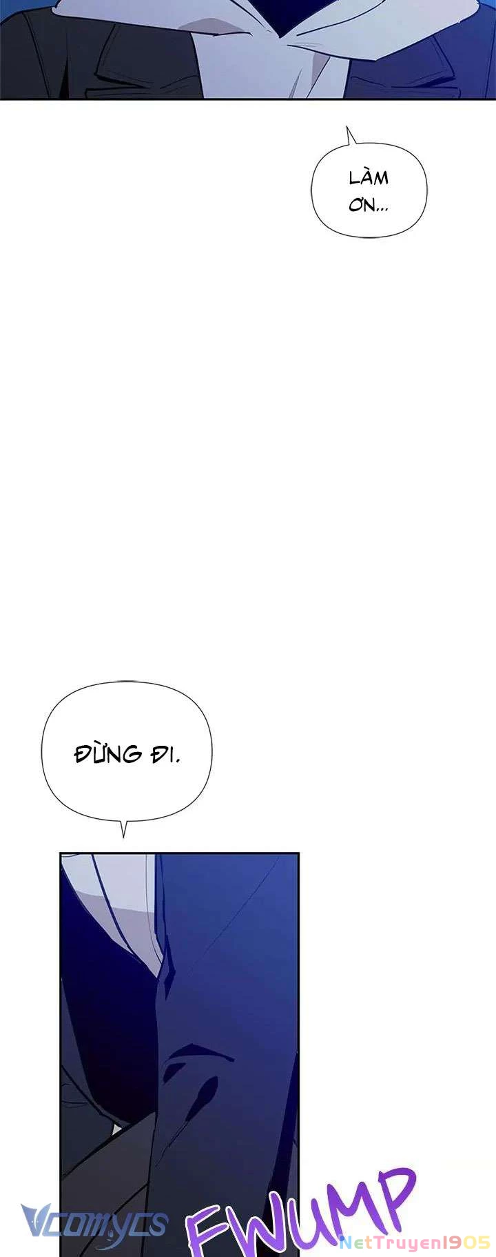 Điều Ước Sao Băng Chapter 62 - 42