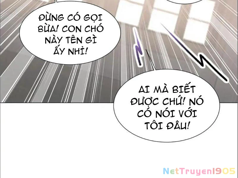 Kế Hoạch Nuôi Dưỡng Streamer Của Cẩu Hoàng Chapter 19 - 53