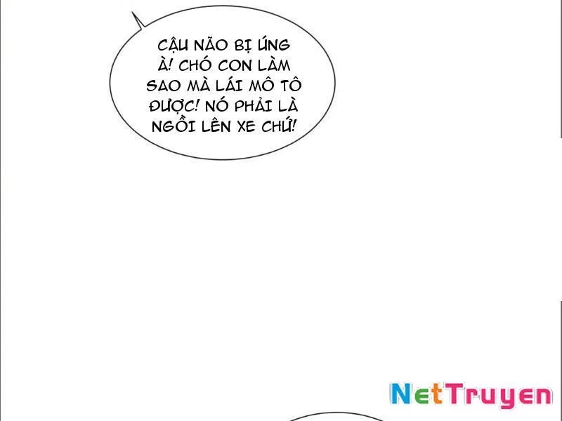 Kế Hoạch Nuôi Dưỡng Streamer Của Cẩu Hoàng Chapter 19 - 56