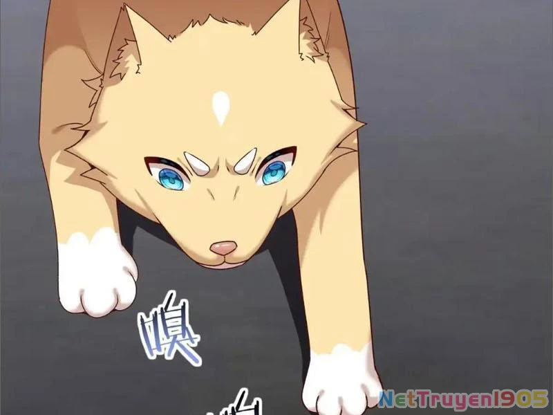 Kế Hoạch Nuôi Dưỡng Streamer Của Cẩu Hoàng Chapter 19 - 109