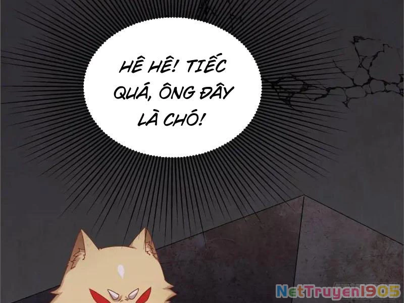 Kế Hoạch Nuôi Dưỡng Streamer Của Cẩu Hoàng Chapter 19 - 148
