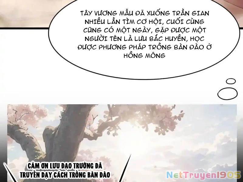 Trụ Vương Tái Sinh Không Muốn Làm Đại Phản Diện Chapter 131 - 43