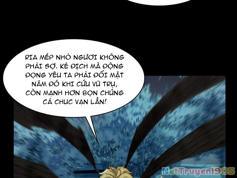 Trước mặt bệnh tâm thần, quỷ dị chẳng là gì cả Chapter 146 - 29