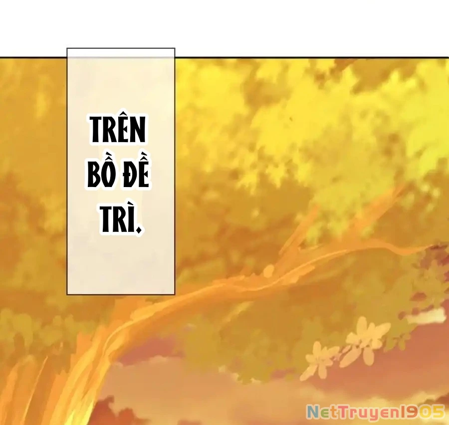 Chiến Hồn Tuyệt Thế Chapter 765 - 106
