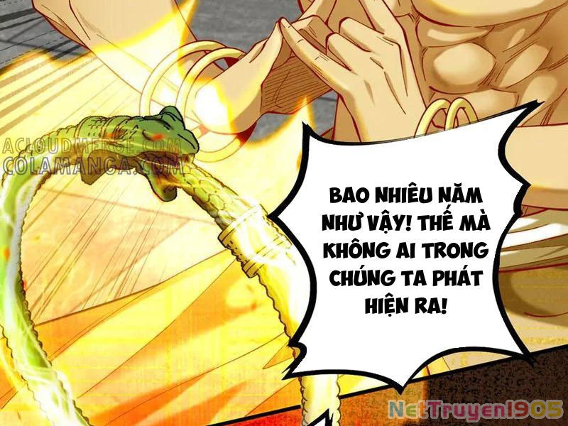 Gặp Mạnh Thì Mạnh, Ta Tu Vi Vô Thượng Hạn Chapter 60 - 88