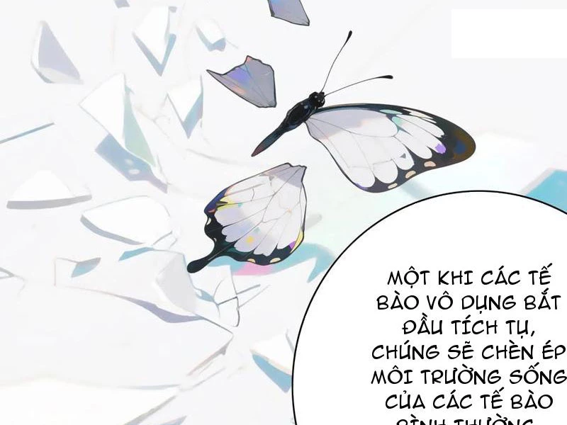 Ta biến thành miêu nương Chapter 40 - 19
