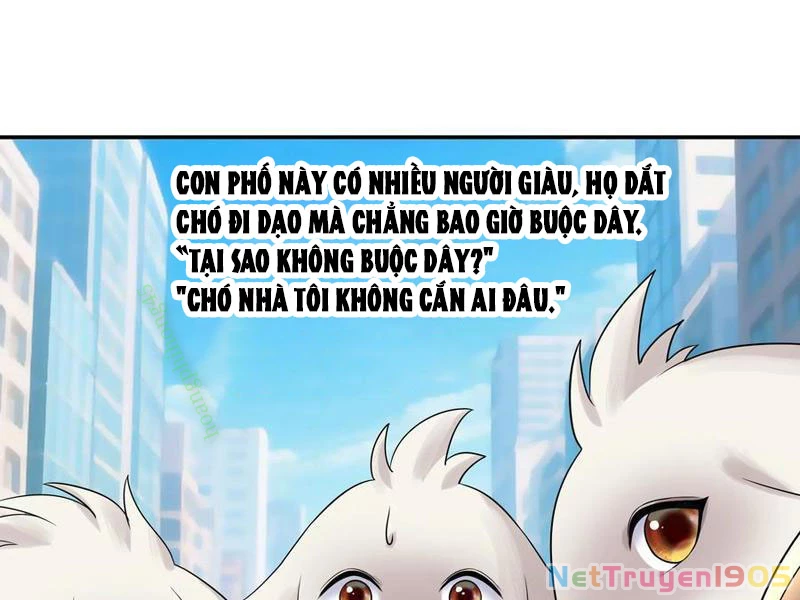 Ta biến thành miêu nương Chapter 40 - 39