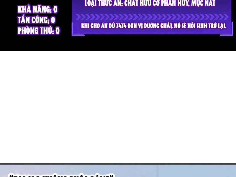 Ta biến thành miêu nương Chapter 40 - 52