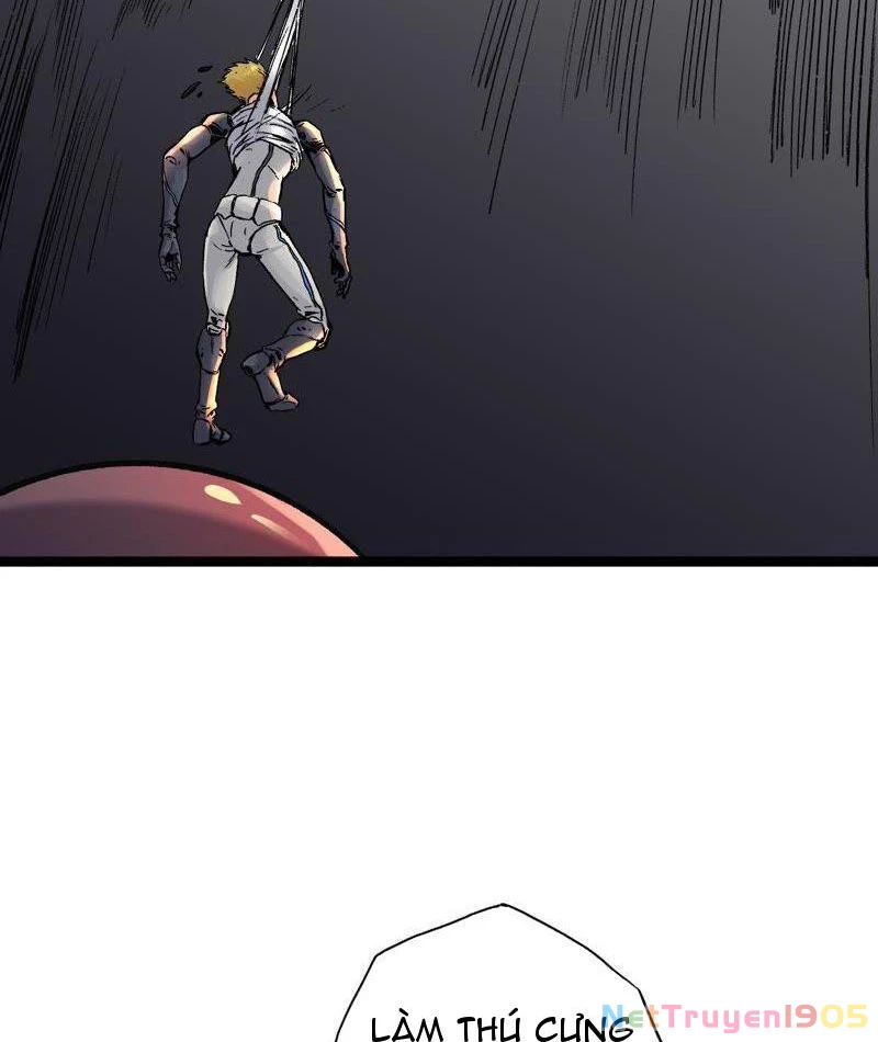Vô Hạn Dị Hóa: Chiến Tranh Hệ Nhị Phân Chapter 20 - 39