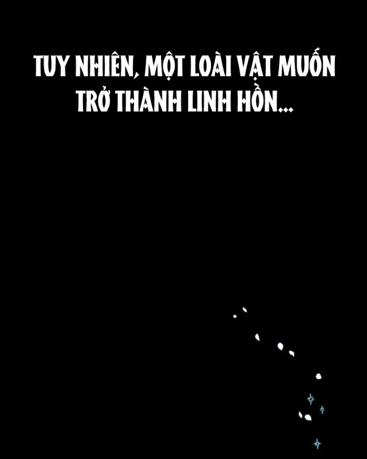 Thiếu Nữ Hoàng Đạo Chapter 0 - 17