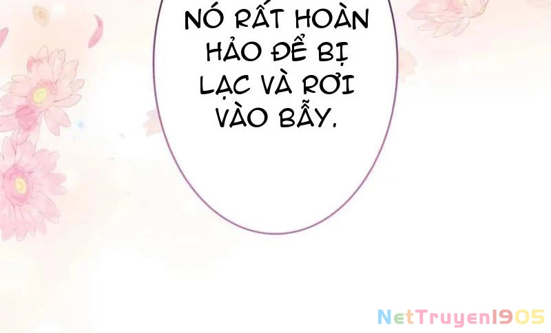 Cha Ơi Con Sẽ Không Làm Gì Đâu Chapter 3 - 172