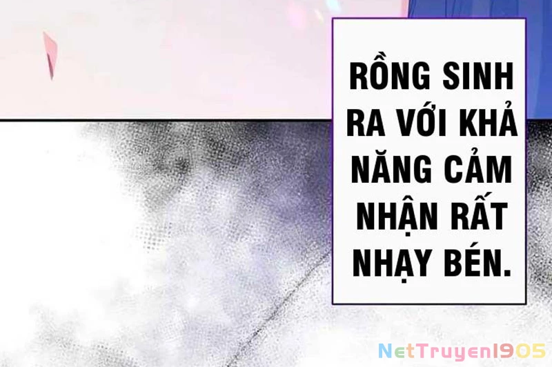 Cha Ơi Con Sẽ Không Làm Gì Đâu Chapter 4 - 303
