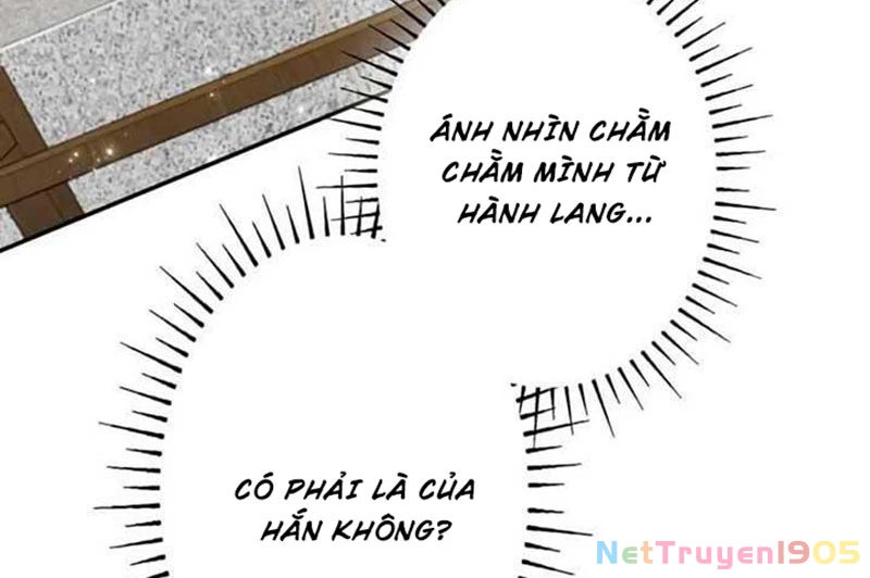 Cha Ơi Con Sẽ Không Làm Gì Đâu Chapter 4 - 312