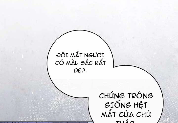 Cha Ơi Con Sẽ Không Làm Gì Đâu Chapter 6 - 33