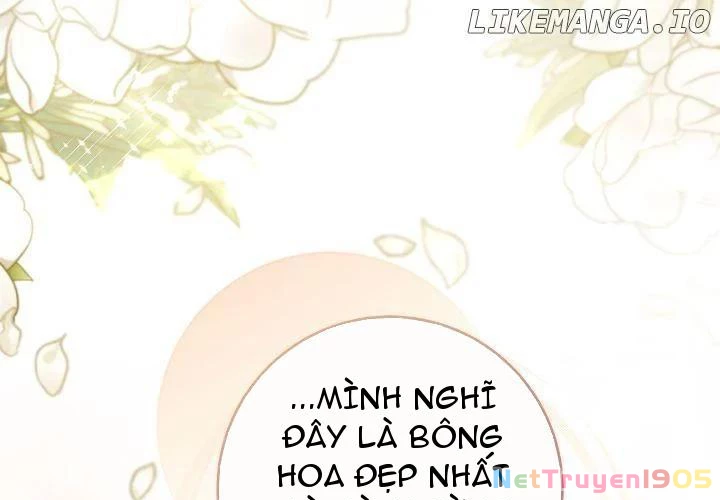 Cha Ơi Con Sẽ Không Làm Gì Đâu Chapter 10 - 50