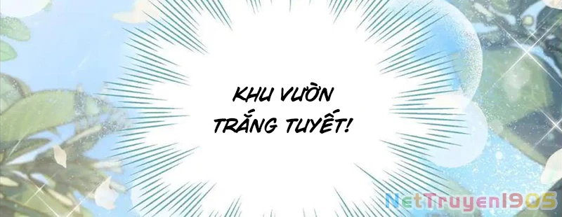 Cha Ơi Con Sẽ Không Làm Gì Đâu Chapter 12 - 163
