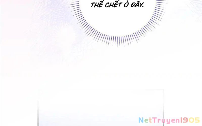 Cha Ơi Con Sẽ Không Làm Gì Đâu Chapter 13 - 49