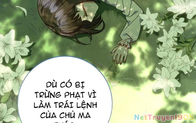 Cha Ơi Con Sẽ Không Làm Gì Đâu Chapter 15 - 147