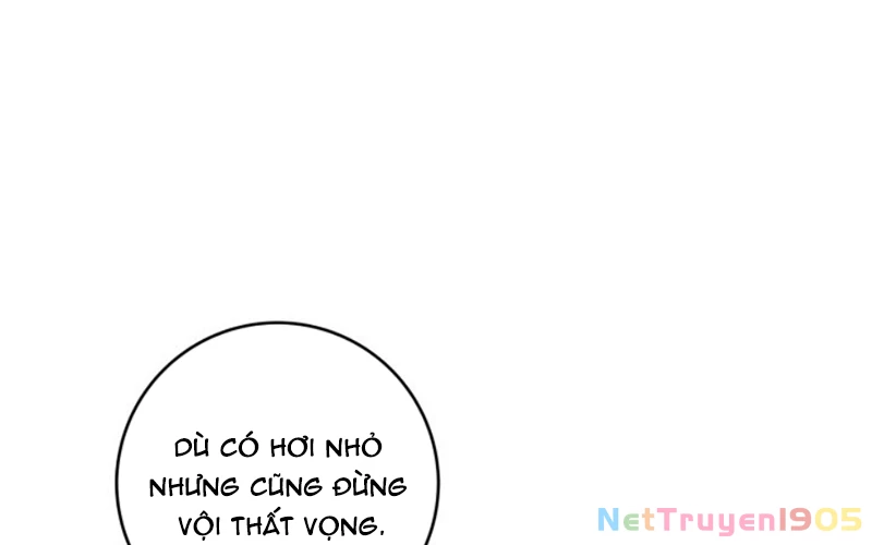 Cha Ơi Con Sẽ Không Làm Gì Đâu Chapter 20 - 33