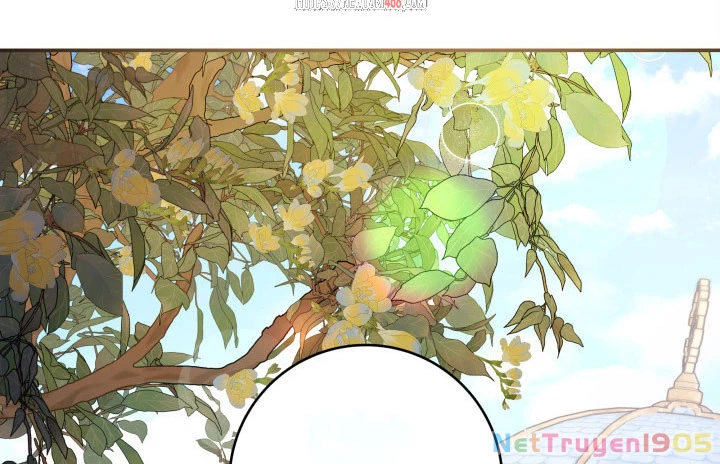 Cha Ơi Con Sẽ Không Làm Gì Đâu Chapter 26 - 2